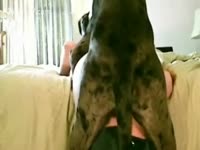[ Animal Sex ] Video shows dog fucking a woman